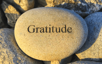 Gratitude makes a difference – Weekly news for Friday 19 July