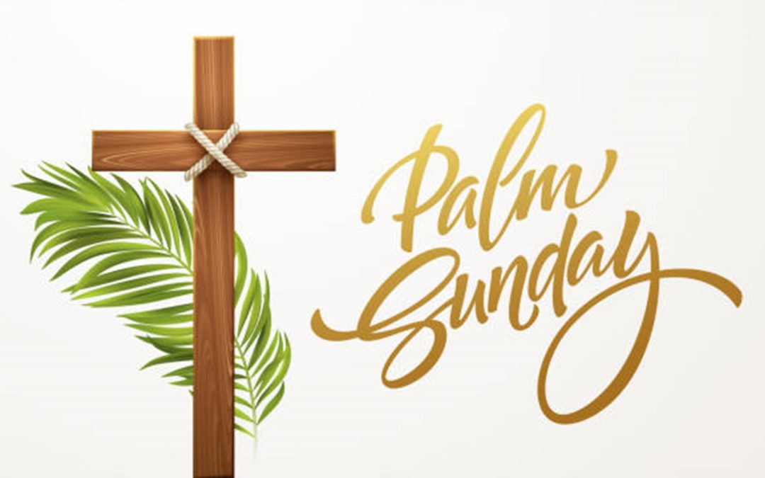 Sunday Gathering 10 April 2022 Palm Sunday | St Andrew’s Church